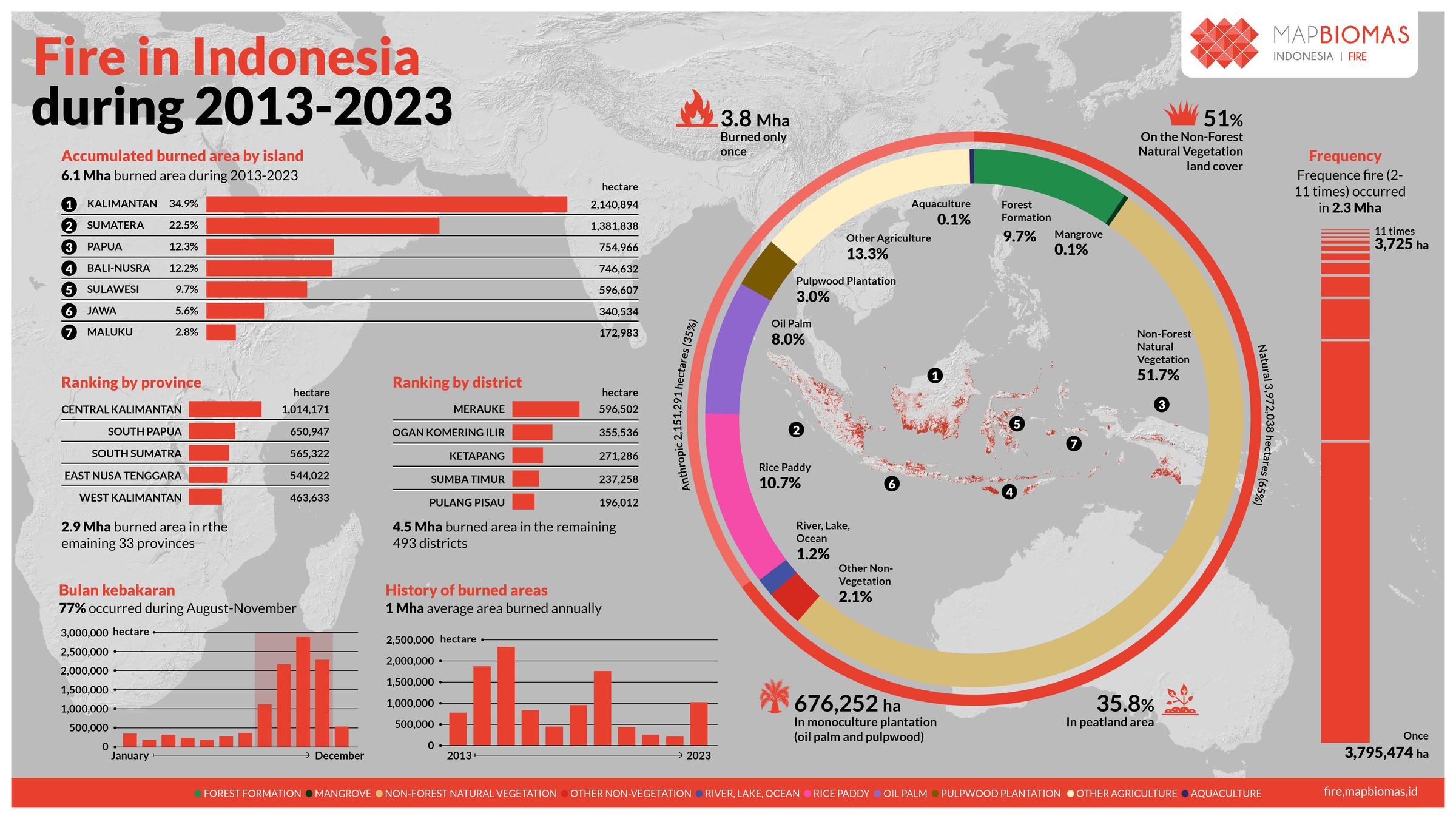 Mapbiomas Indonesia - Fire