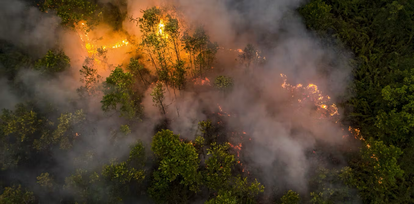 Mapbiomas Fire - Indonesia