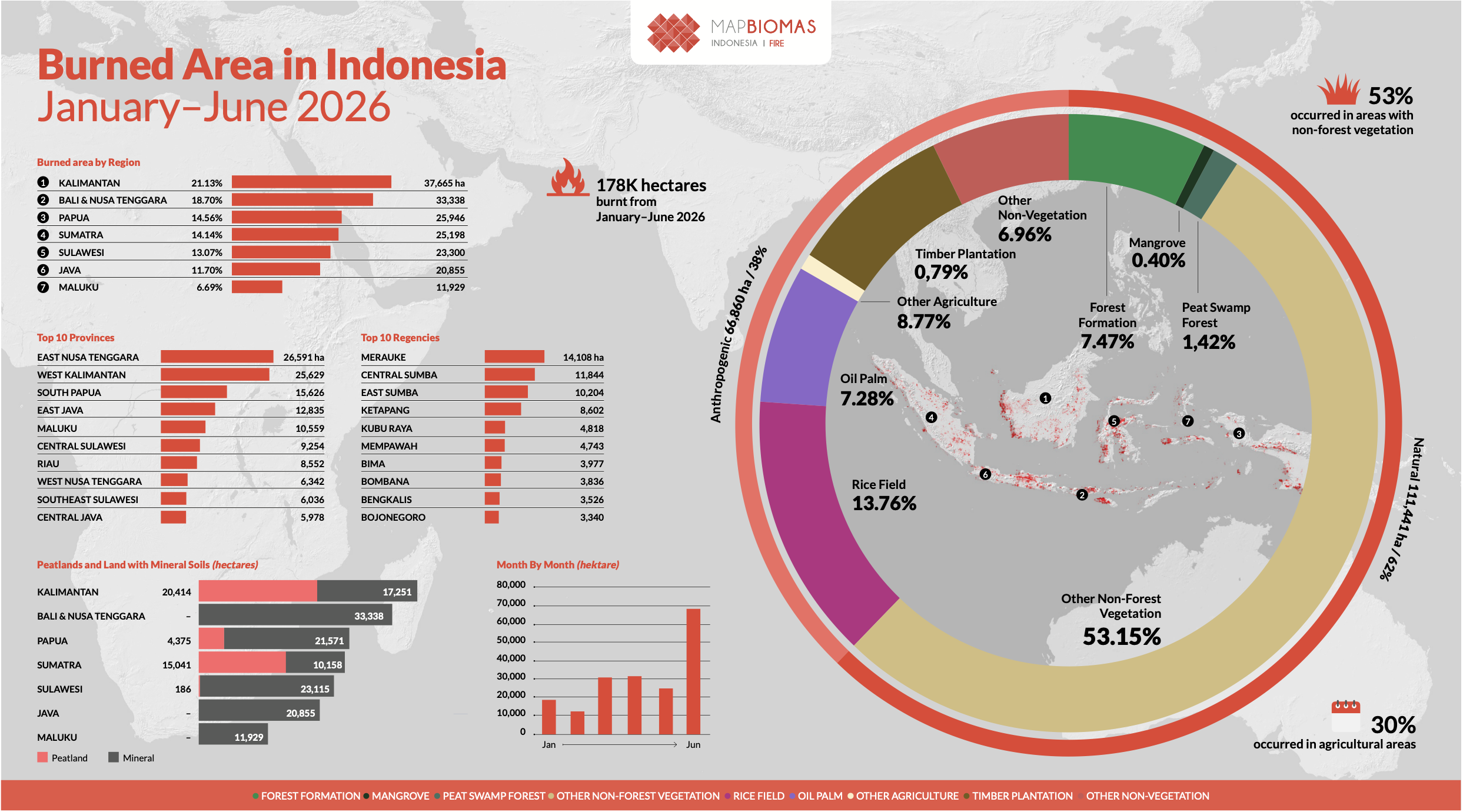 infographic fire monthly
